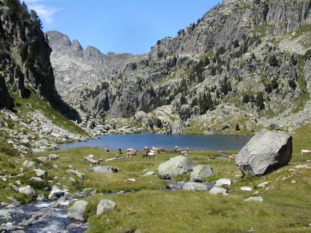 vistas del Parc Nacional